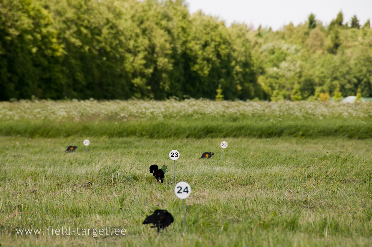 Shooting Line with 5 Targets. Avarage distance 30 m